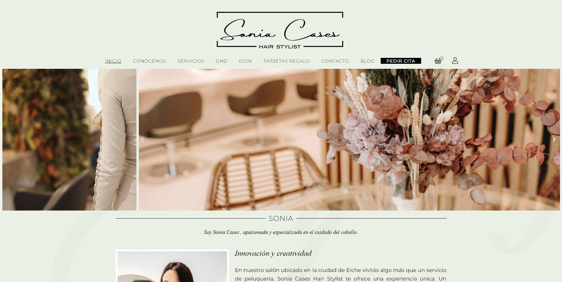 Sonia Cases Hair Stylist