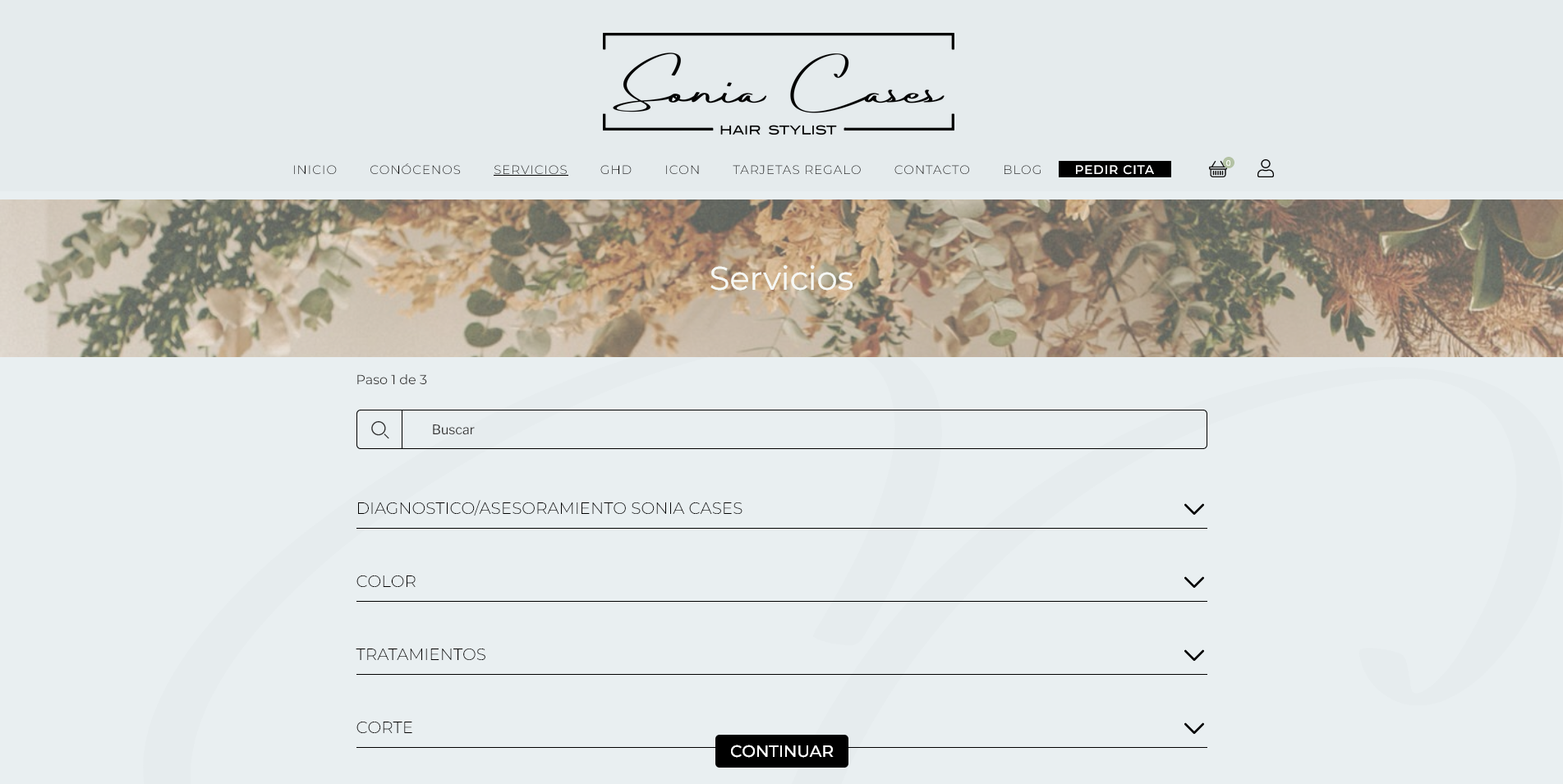 Sonia Cases Hair Stylist